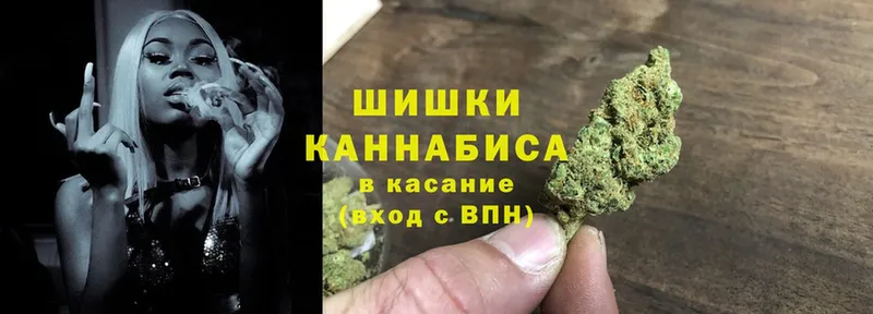 Каннабис White Widow  Отрадная 